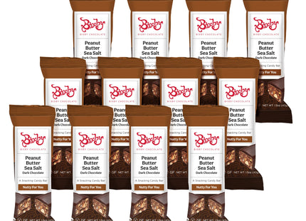 Bixby 12 Bars of Organic Dark Chocolate - Gluten Free Peanut Butter and Real Sea Salt - Non GMO Kosher Protein Snack with Clean Ingredients - Organic Bulk Chocolate Bars - 12 Bars, 1.5oz each