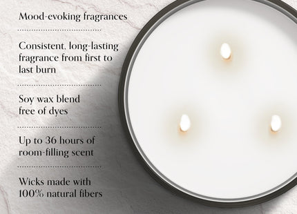 Chesapeake Bay, 14.5oz Serene Waters Scented Candle, Mood Evoking Fragrance, Sea Glass-Inspired Jar, Premium Soy Blend Wax with Essential Oils, Coastal Fragrance for Home Décor or Gifting