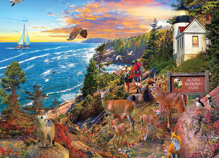 White Mountain 1000 Piece Jigsaw Puzzle, Acadia National Park