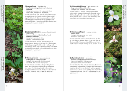 Wildflowers of New England (A Timber Press Field Guide)