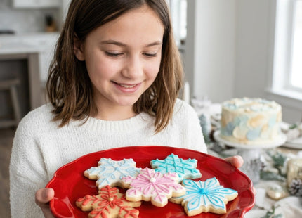 Ann Clark Snowflake Cookie Cutter Set of 5, Made in USA