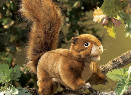 Folkmanis Red Squirrel Hand Puppet, 1 ea