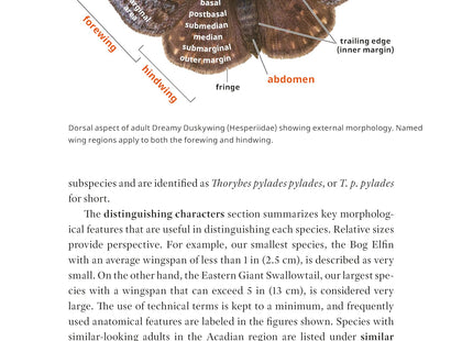 Butterflies of Maine and the Canadian Maritime Provinces