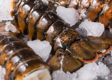 Today Gourmet Foods of NC Maine Lobster Tails (8oz-10oz) (8 Tails)
