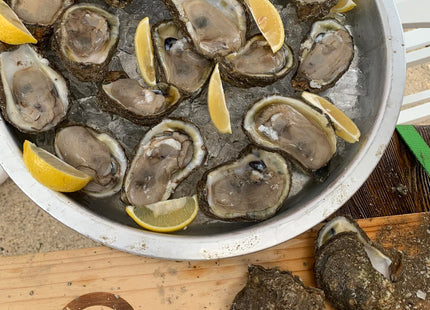 King Kooker 5500 Stainless Steel Oyster Opener, with Oyster Knife