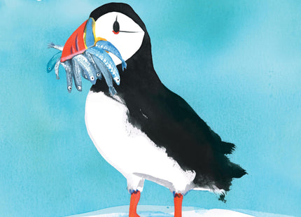 Puffin