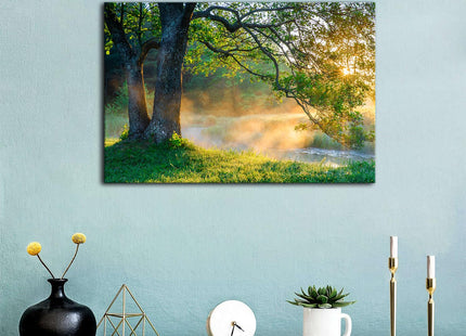 Forest Wall Art Nature Landscape Wall Decor Office Home Decorations 16x24"
