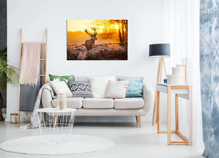 Red Deer In Morning Sun Canvas Wall Art Picture Print (30X20)