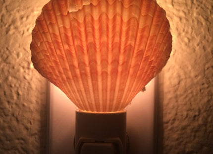 PEPPERLONELY Black Murex Sea Shell Night Light Nautical Natural Seashell Beach Home Decor