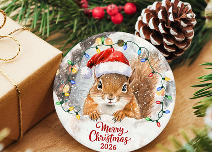 ZAGKOO Squirrel Christmas Ornament, Funny Squirrel Gift for Squirrels Lover