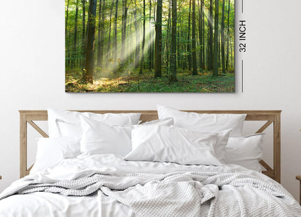Morning Sunlight Forest Wall Art Nature Scenery Pictures Wall Decor Sunrise Woodland Painting for Living Room Rustic Green Grass Scenic Photography Prints Canvas Artwork Bedroom Home Decoration 32x48"