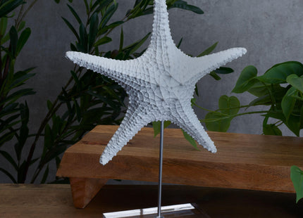 Elements White Starfish Resin Figurine with Stand - 11.4 x 14.7 Inch
