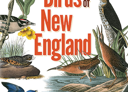 Thoreau's Notes on Birds of New England