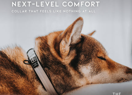 MADE TO ROAM Comfort Collar - Adjustable Nylon Dog Collar with Soft Comfortable Padding, Light Aviation Aluminum Metal Buckle for Small, Medium and Large Dogs (Maine Marina, Size 1)