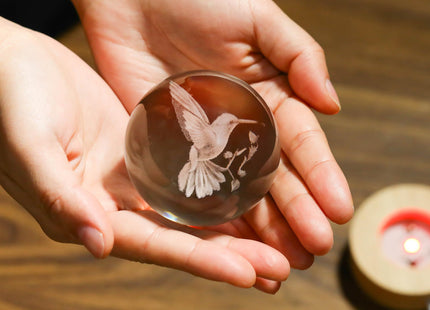 3D Hummingbird Crystal Ball 60mm - Hummingbird Figurine Glass Animal Decor for Room, Birthday, Lovers Keepsake Paperweight