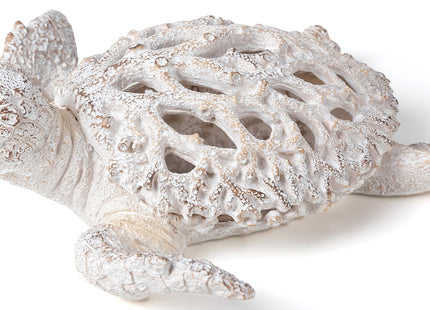 VVGIFTS Ocean White Sea Turtle Coral Reef Beach Coastal Home Shelf Decor