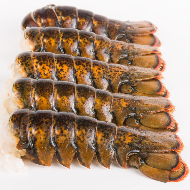 Today Gourmet Foods of NC Maine Lobster Tails (8oz-10oz) (10 Tails)