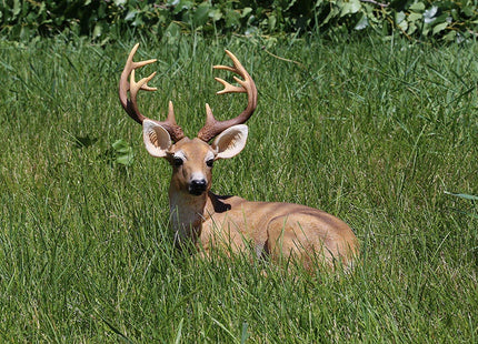 JHVYF 13" H Resin Buck Statue Home Office Decor Animal Figurine Deer Decorations Lawn Decor Housewarming Gift Garden Sculpture