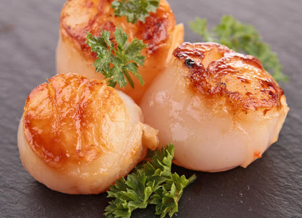 Today Gourmet Foods of NC - Scallops - U10 Dry (5lb Pkg)