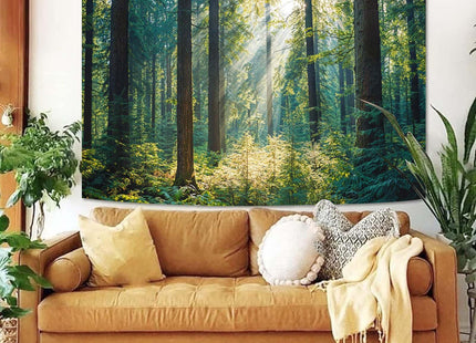 Kanuyee Sunlit Forest Landscape Tapestry, Tranquil Nature Wall Hanging for Room Decor, Peaceful Greenery Home Decor 60L x 44W