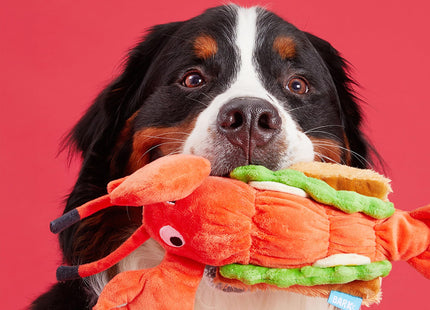 BarkBox Max's Maine Lobster Roll Dog Toy - Large - for Dogs