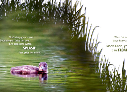 Secrets of the Loon