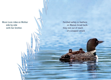 Secrets of the Loon