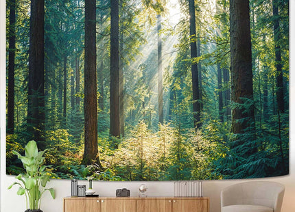 Kanuyee Sunlit Forest Landscape Tapestry, Tranquil Nature Wall Hanging for Room Decor, Peaceful Greenery Home Decor 60L x 44W