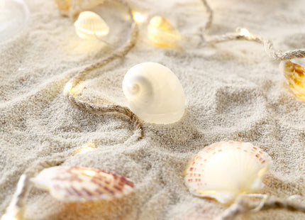 MIYA LIFE Seashell Garland Ocean Light for Beach Decor 7.2FT 39LED Battery Operated Coastal Garland Magic Conch Shell Beach Decorations for Home Coconut Girl Room Decor