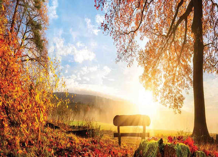 Ambesonne Forest Duvet Cover Set, Autumn Landscape The Sun Warmly on a Bench Under Tree Scene Holiday, Decorative 3 Piece Bedding Set with 2 Pillow Shams, King Size, Orange Blue