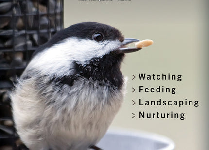 Northeastern Birds: Backyard Guide - Watching - Feeding - Landscaping - Nurturing - New York, Rhode Island, Connecticut, Massachusetts, Vermont, New ... Maine (Bird Watcher's Digest Backyard Guide)