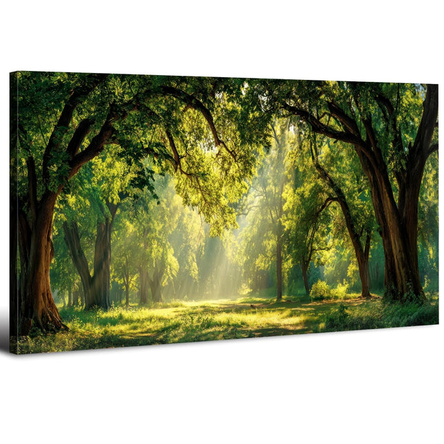 AIYISU Green Forest Wall Art Panoramic Woodland Landscape Canvas Pictures Nature Wall Decor Sunrise Sunlight Trees Scenery Poster Living Room Bedroom Office Hallway Cabin Lodge Home Decoration 30x60