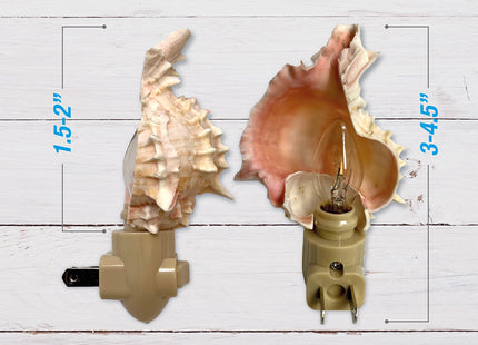 Real Shell Night Light, Seashell Decor for Coastal Bathroom or Beach House