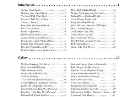 North American Wildlife Patterns for the Scroll Saw: 61 Captivating Designs for Moose, Bear, Eagles, Deer and More (Fox Chapel Publishing) Ready-to-Cut Patterns from Lora Irish for Fretwork or Relief