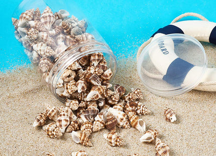 Craftdady About 161pcs/Box Natural Spiral Sea Shell Pendants 13.5-17.5x20.5-30.5mm Cowrie Beach Seashell Charms with 1.5mm Hole for Jewelry Making Fish Tank Home Decor