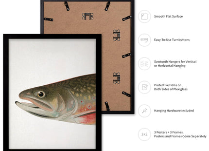 Poster Master 3-Piece Trout Fish Poster - Aquatic Print - Gift for Sailor, Fisherman, Friend - Brook Trout, Lake, Fish, Marine Life, Animal - Wall Decor for Home, Lake House, 8x10 Black Framed