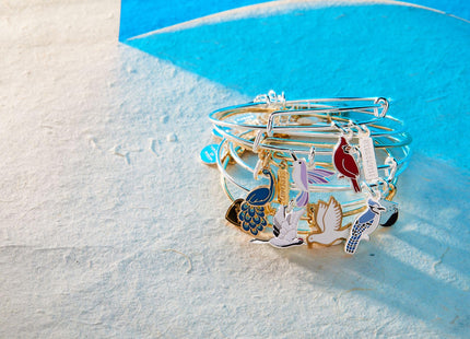 ALEX AND ANI 'Strength' Cardinal Duo Charm Bangle Bracelet - Red Cardinal Charm, Inspirational 'Strength' Accent, Nickel-Free, Cardinal Jewelry for Women (Shiny Silver)