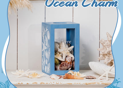 Synovana Seashell Holder Wooden Seashell Display Box Beach Coastal Decor Acrylic Sea Shell Display Holder Home Decor, 4.25 x 4.25 x 7.25 inches