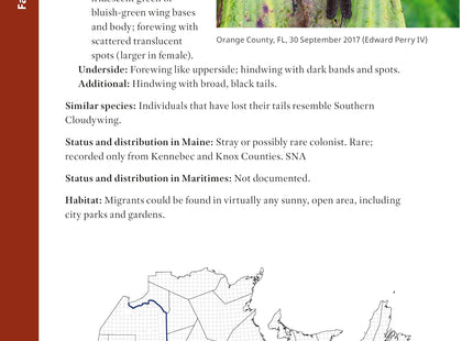 Butterflies of Maine and the Canadian Maritime Provinces