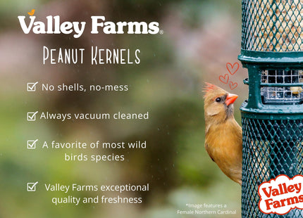 Valley Farms Whole Peanut Kernels (4 LB) Wild Bird Food for Outside Feeders, Peanuts for Birds, Chickadee Bird Seed for Outside Feeders, No Mess Bird Seed