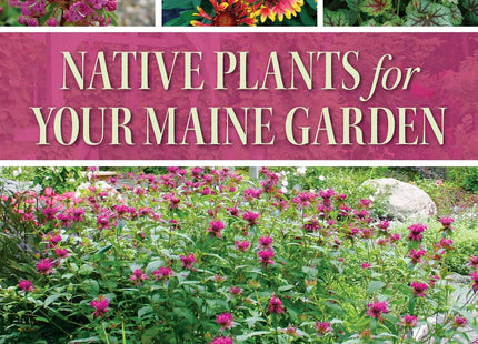 Native Plants for Your Maine Garden