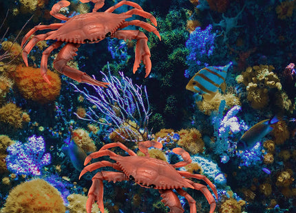 AUEAR Plastic Crab for Decor Artificial Sea Life Creatures, Simulated Animal Home Party Creative Gift, Red, 2-Pack