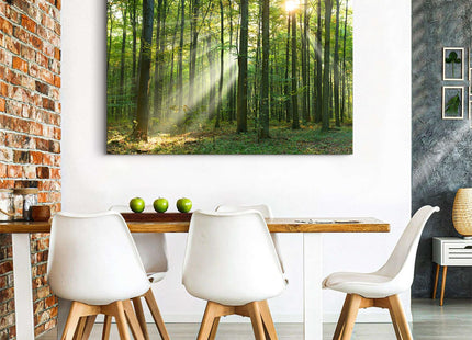 Morning Sunlight Forest Wall Art Nature Scenery Pictures Wall Decor Sunrise Woodland Painting for Living Room Rustic Green Grass Scenic Photography Prints Canvas Artwork Bedroom Home Decoration 32x48"