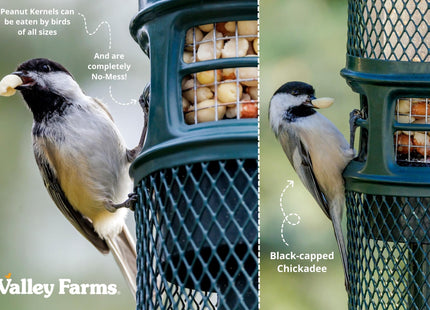 Valley Farms Whole Peanut Kernels (4 LB) Wild Bird Food for Outside Feeders, Peanuts for Birds, Chickadee Bird Seed for Outside Feeders, No Mess Bird Seed