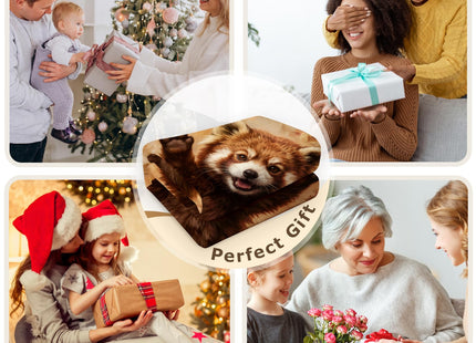 Aimego Raccoon Throw Blanket Raccoon Gifts for Boys Girls 50"x60"