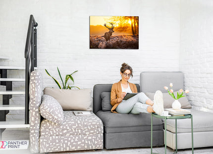 Red Deer In Morning Sun Canvas Wall Art Picture Print (30X20)