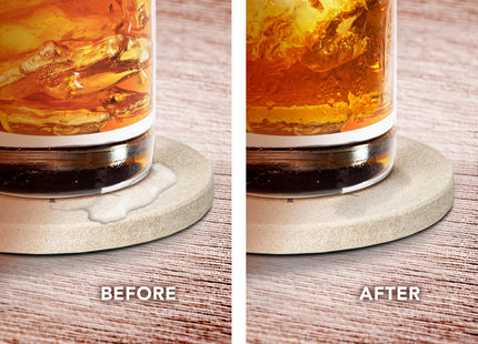 Thirstystone Dragonfly 4 Pack Round Natural Sandstone Coasters