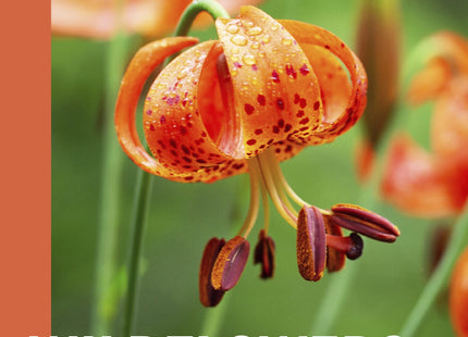 Wildflowers of New England (A Timber Press Field Guide)