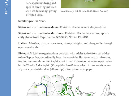 Butterflies of Maine and the Canadian Maritime Provinces
