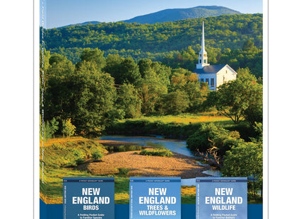 New England Nature Set: Field Guides to Wildlife, Birds, Trees & Wild Flowers of New England (Pocket Naturalist Guides)